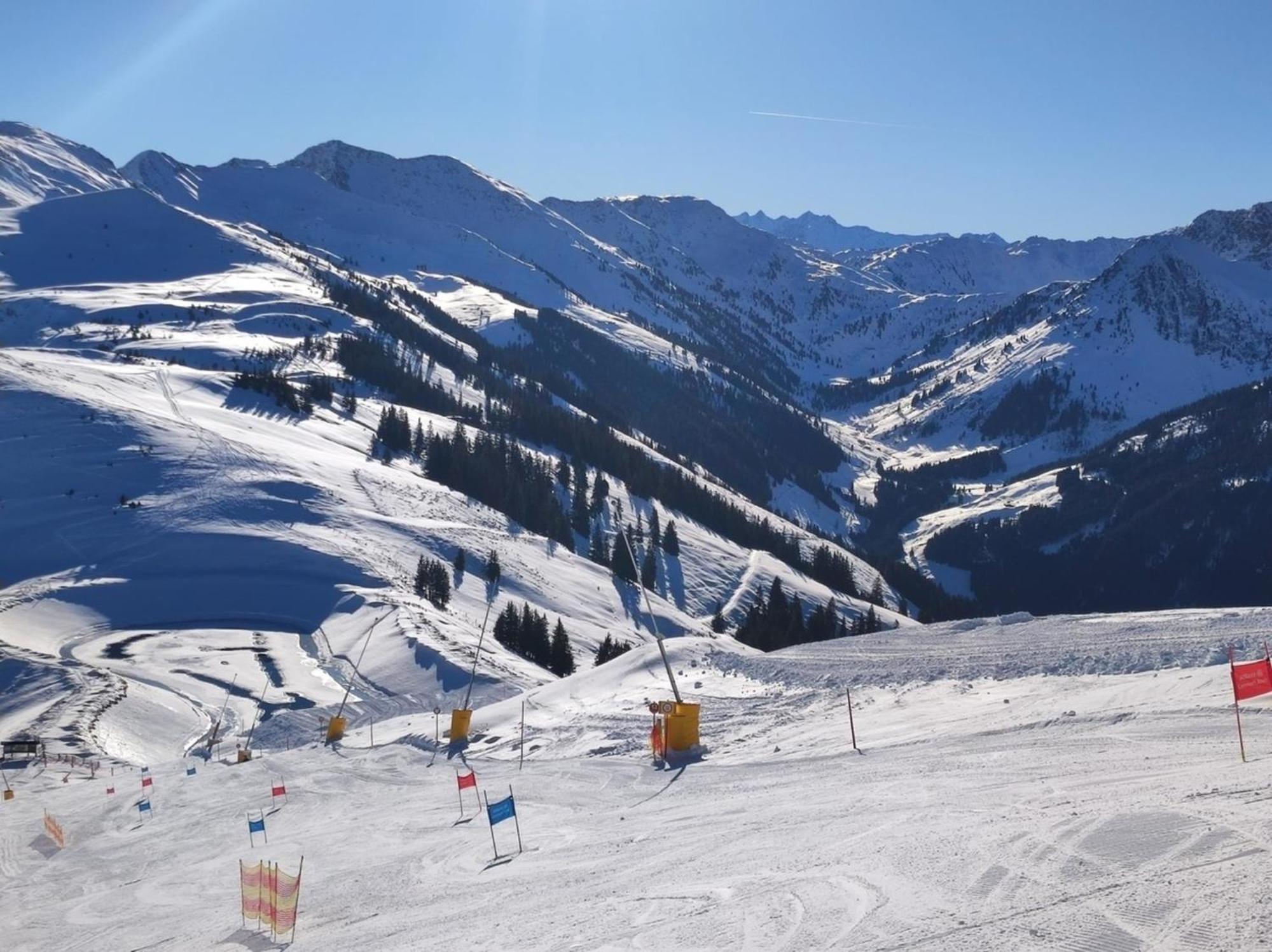 Ferienwohnung Bergpanorama Wild600 Schwarzenau  Εξωτερικό φωτογραφία