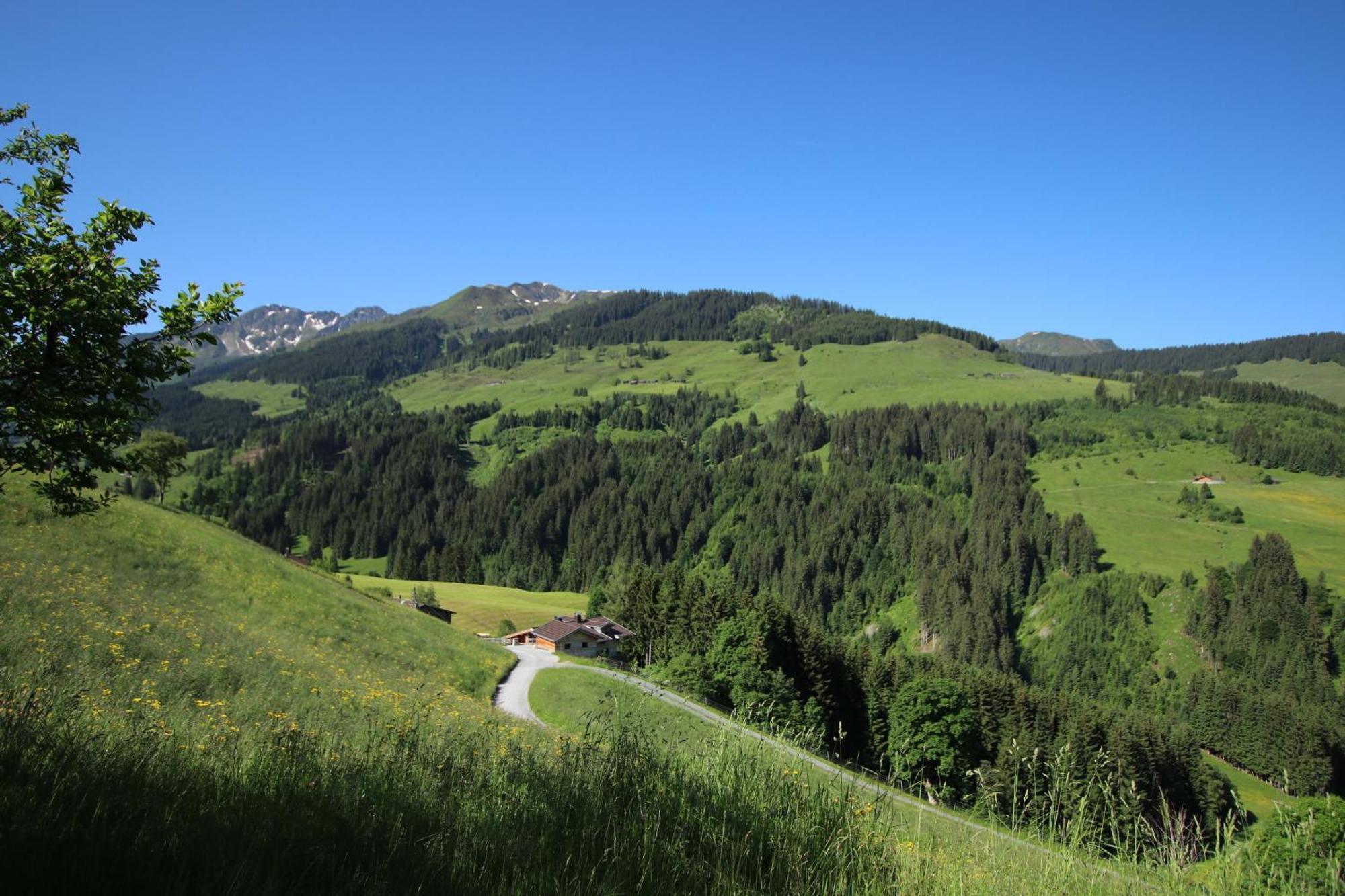 Ferienwohnung Bergpanorama Wild600 Schwarzenau  Εξωτερικό φωτογραφία