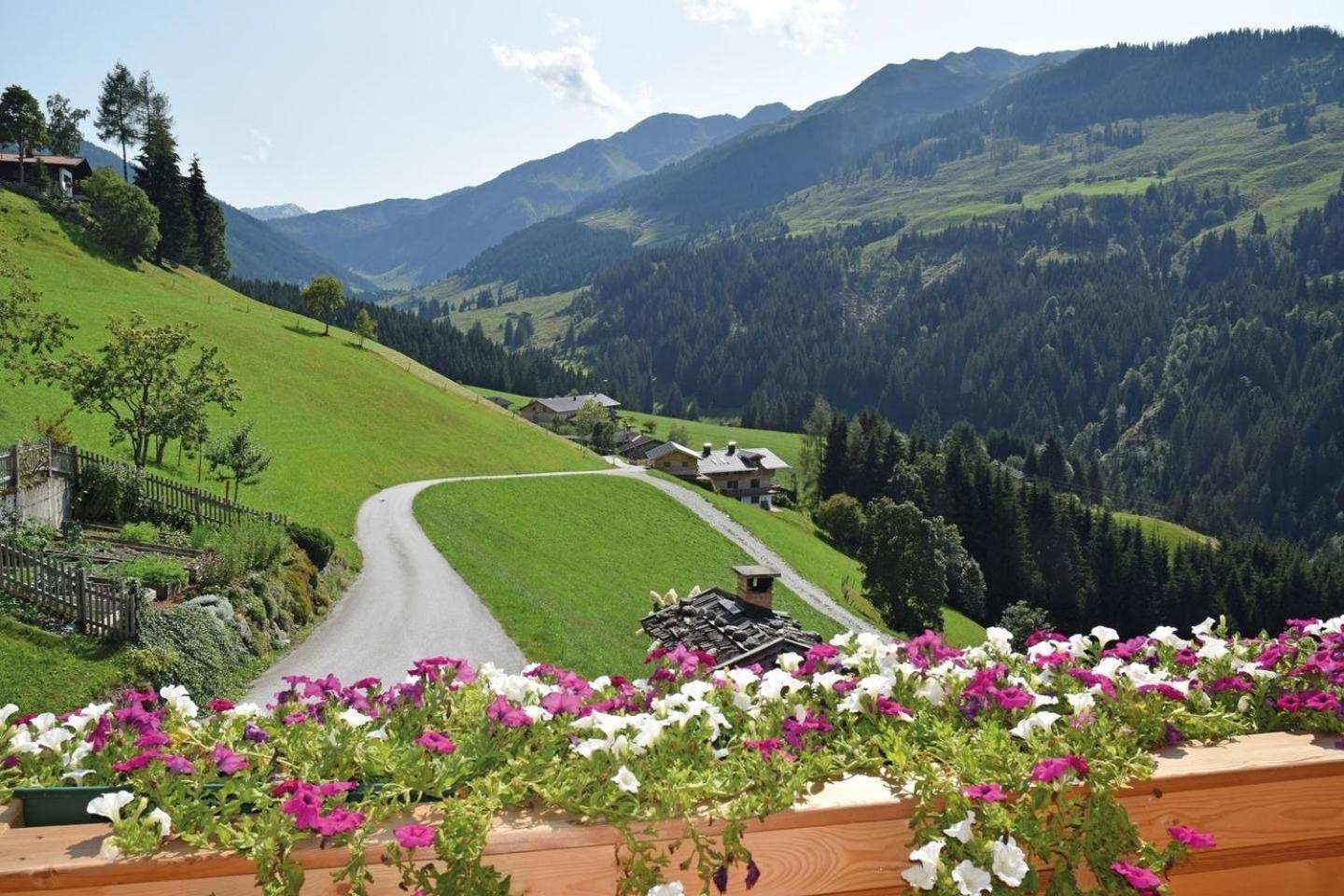 Ferienwohnung Bergpanorama Wild600 Schwarzenau  Εξωτερικό φωτογραφία